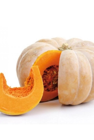 gourds-pumpkins-pumpkin-1-kg