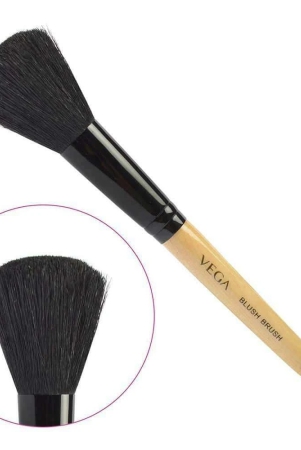 vega-blush-brush-ev-19