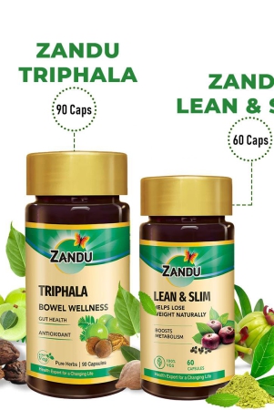 triphala-90-caps-lean-slim-60-caps