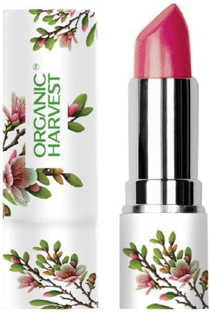 organic-harvest-chestnut-matte-lipstick-4