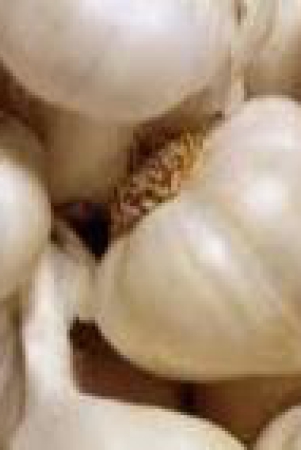 mountain-garlic-250g-kodaikanal-malai-poondu