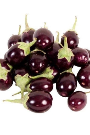 brinjal-small-500-gms