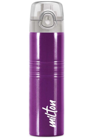 Milton Vogue 750 Stainless Steel Water Bottle, 750 ml, Purple - Purple