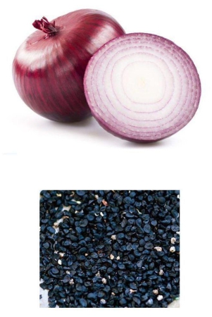 old-store-red-onion-200-seeds-pack-with-instruction-manual