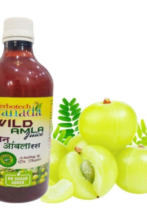 herbotech-canada-wild-amla-juice-natural-source-of-vit-c-healthy-hair-skin-detox-juice-for-weight-loss-i-no-added-sugar