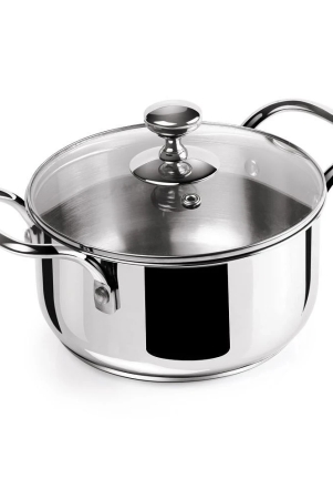 milton-pro-cook-stainless-steel-casserole-with-glsss-lid-16-litre-silver-silver