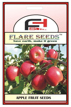 APPLE SEEDS - 10 Seeds Pack