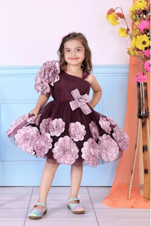 childbird-wine-color-net-kids-frock-dress-3-4-year