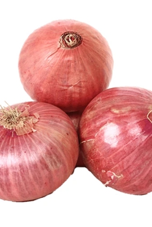 fresh-red-onion-1-kg