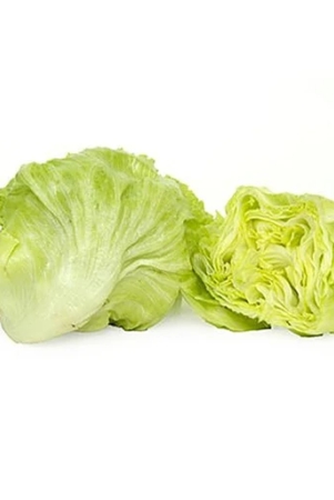 iceberg-lettuce-250-gm