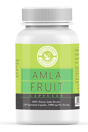 holy-natural-amla-fruit-capsule-1000-mg-vitamins-capsule