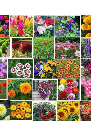 classic-green-earth-flower-seeds-25-flower-combo-2000-seeds-hybrid-