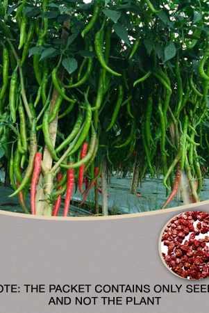 chilli-g-4-desi-vegetable-pack-of-50-seeds