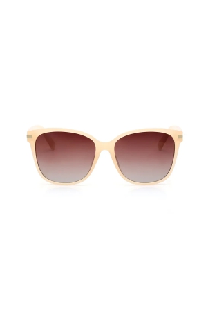 brown-wayfarer-sunglasses-for-women