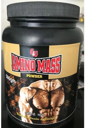 dr-chopra-amino-mass-ayurvedic-powder-500-gm-chocolate-single-pack