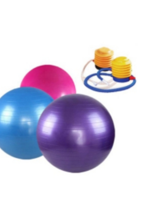 best-exercise-gym-ball-in-india-65mm