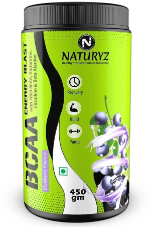 naturyz-bcaa-energy-blast-pre-intra-post-workout-for-recovery-energy-450gblueberry-flavour