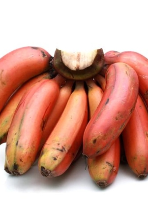 banana-red-1-kg