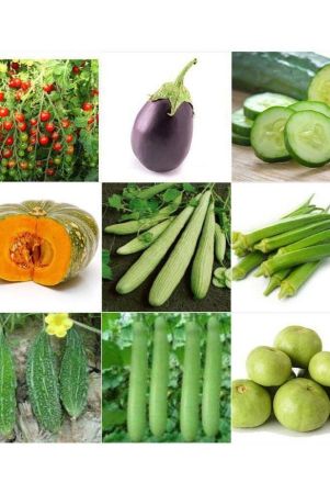 special-combo-10-vegetables-seeds-for-kitchen-and-terrace-summer-and-all-season-vegetables