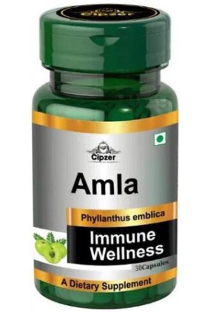 cipzer-amla-cap-60