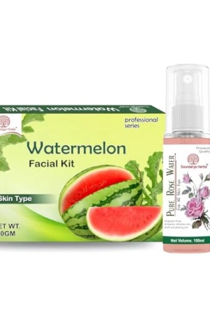 soundarya-herbs-facial-kit-140gm-with-free-100ml-gulab-jal-rose-water-achieve-a-radiant-glow-watermelon-facial-kit