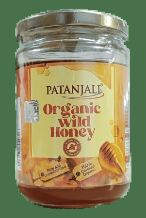 organic-wild-honey-400-gm