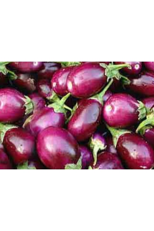 brinjal-vari-1-kg