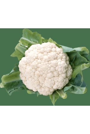 cauliflower-1-pc