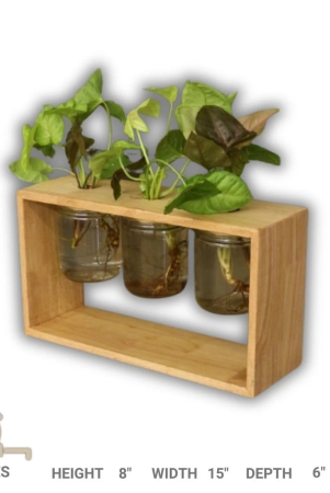 barish-home-decors-table-top-planter-3-jars-wooden-planter-with-3-mason-jar-handcrafted-with-rubberwood-table-top-planters-for-indoor-decoration-21-x-38-x-13-cms-h-x-w-x-d