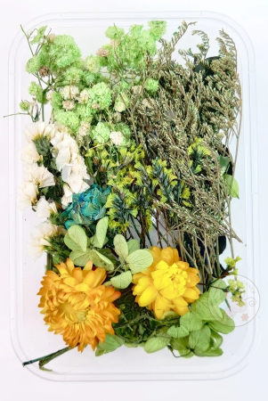 mix-style-natural-dry-flowers-27