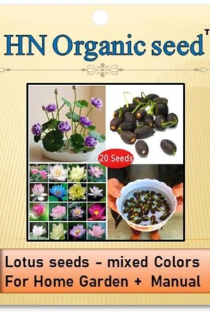 homeagro - Flower Seeds ( Lotus seeds -mixed colours 20 seeds )