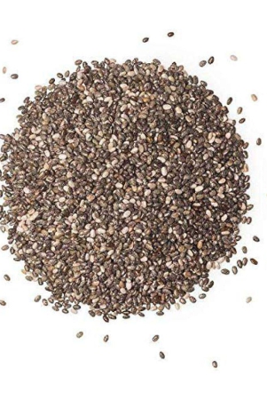 nutrixia-food-chia-seed-salvia-hispanicachia-beej-100-gm