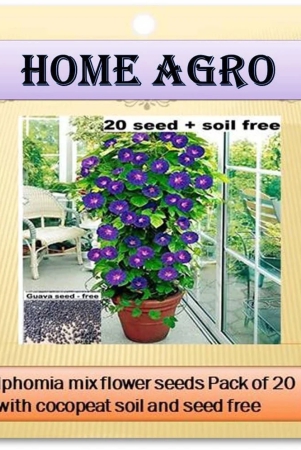 homeagro-flower-seeds-20-