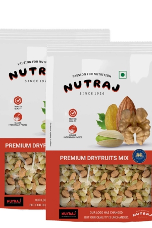 nutraj-premium-dry-fruit-mix-500gm-500g-pack-of-2