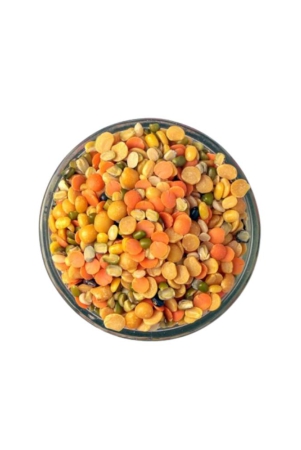 mixed-dal-500-gms