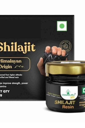 Shilajit Resin 20 gm Minerals Softgel