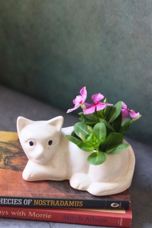 cat-succulent-planter