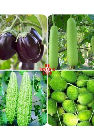 vegetable-seeds-combo-for-kitchen-garden-25-seeds-easy-to-grow-with-instruction-manual