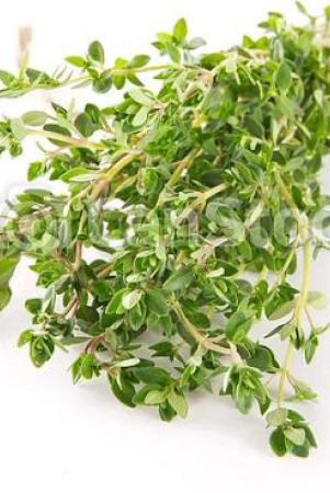 thyme-fresh-20-gms