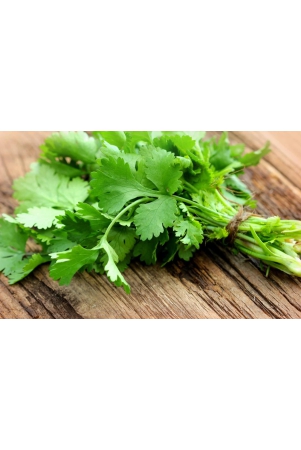 coriander-leaves