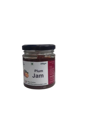 home-made-sweet-and-sour-plum-jam-200g