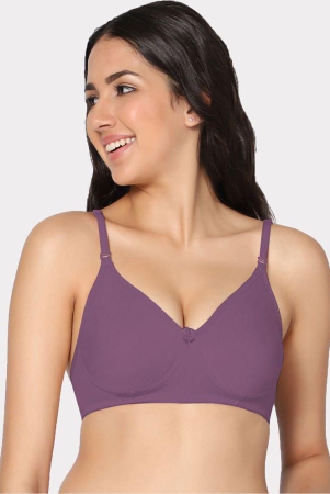 in-care-lingerie-wine-rayon-lightly-padded-womens-t-shirt-bra-pack-of-1-none