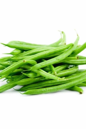 namdhari-beans-french-pb-250-gm