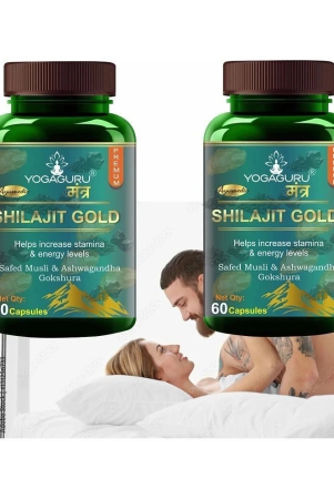 capsules100-ayurvedic-pure-natural-shilajeet-boost-immunitynight-stamina