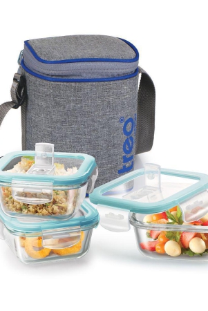 treo-by-milton-all-fresh-square-glass-tiffin-containers-with-insulated-jacket-320-ml-each-grey