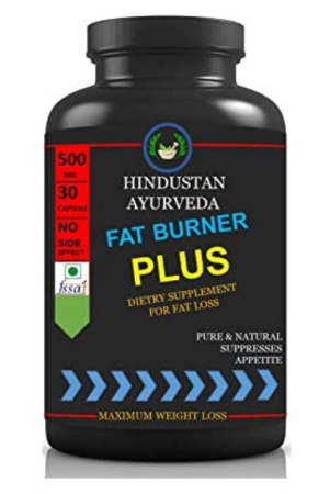 Hindustan Herbal FAT BURNER PLUS 0.1 kg Unflavoured Single Pack