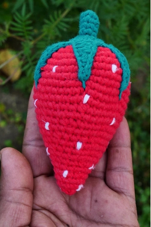 himalayan-blooms-hand-made-crochet-soft-toys-strawberry