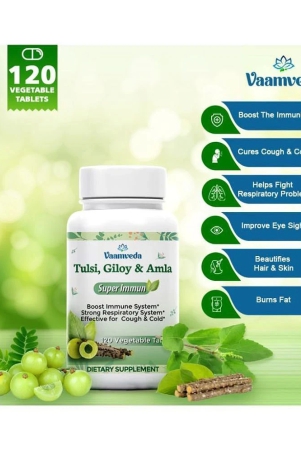 vaamveda-tulsi-giloy-ayush-kwath-immunity-booster-tablet-120-nos-pack-of-1