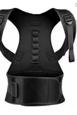 fitgo-black-back-support-pack-of-1-l