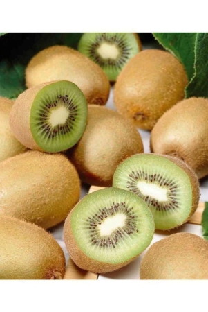 m-technologies-kiwi-fruit-plant-seeds-pack-of-25